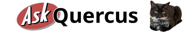 SearXNG